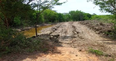 Gobernación previene inundaciones en Tucacas al despejar canales naturales